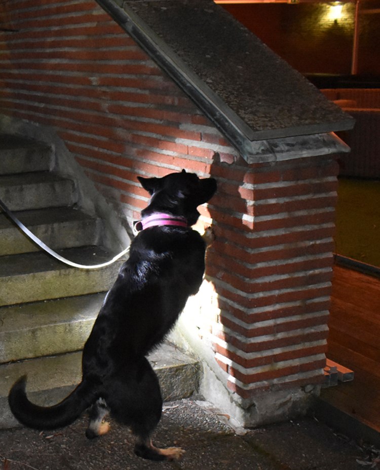 Byling markerar på Lidingö på en mur