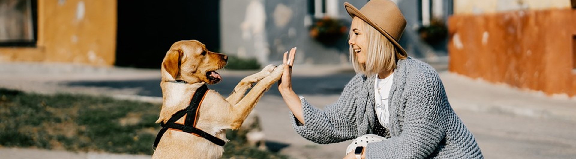 vänner flicka och hund