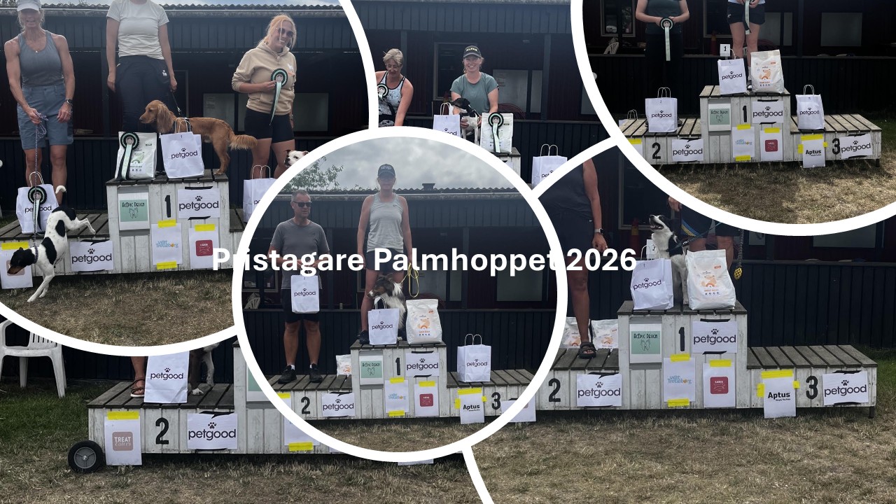Palmhoppet 2026 Agility
