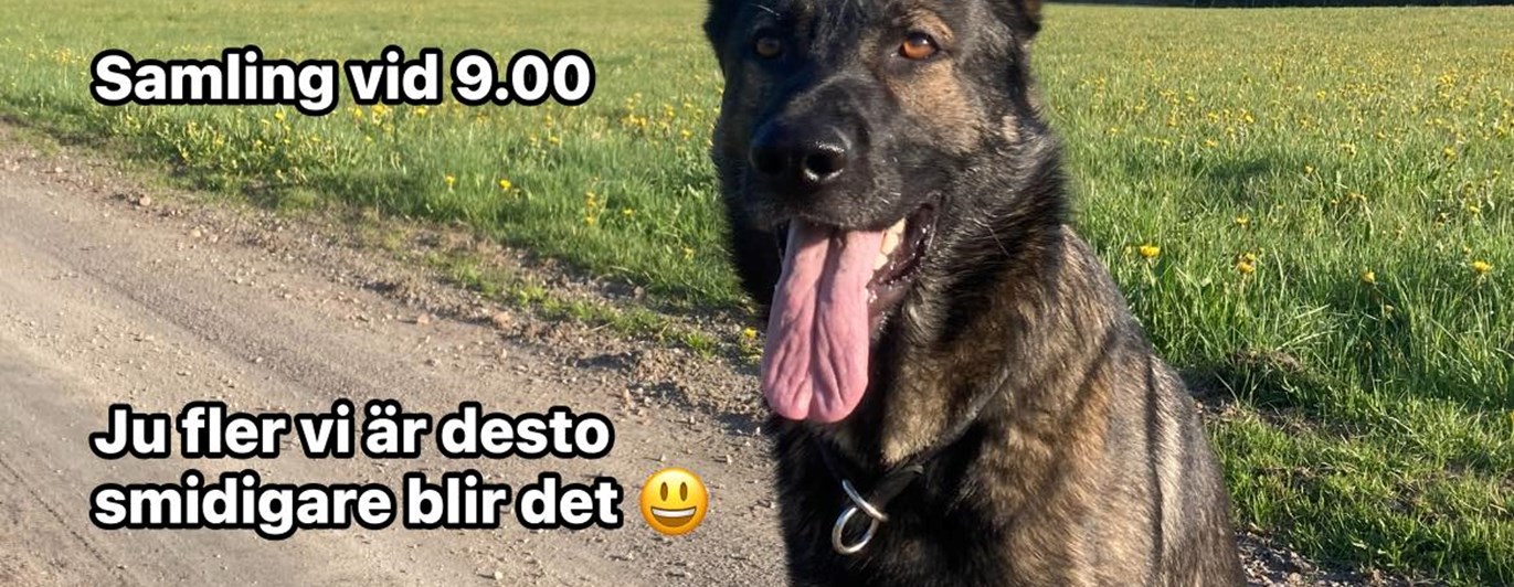 Fixardag