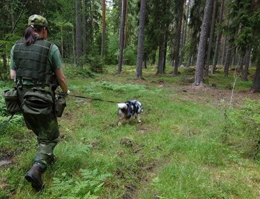 Patrullhund