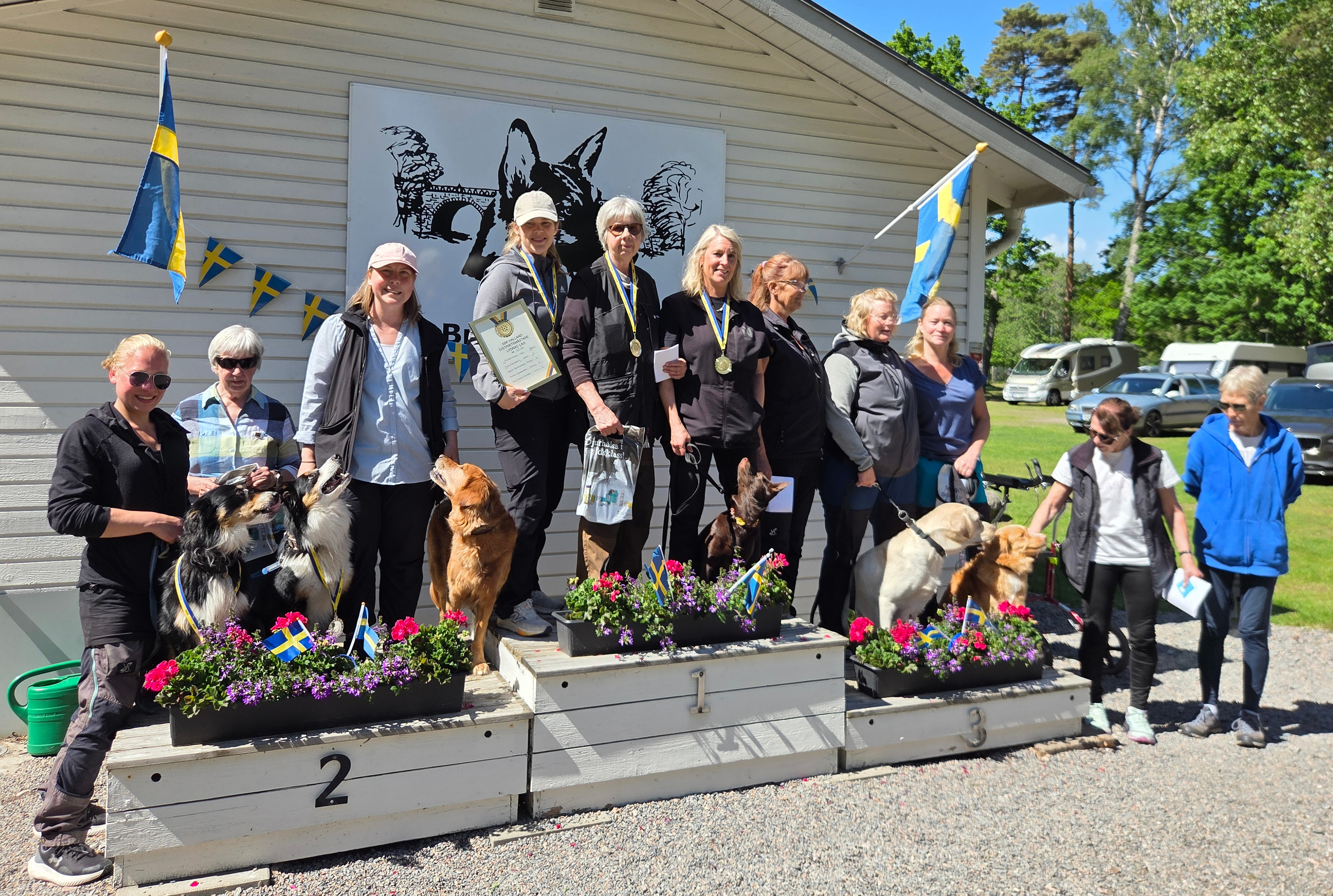 Prispallen i lagtävlingen. Många glada hundar och personer