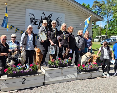 Prispallen i lagtävlingen. Många glada hundar och personer