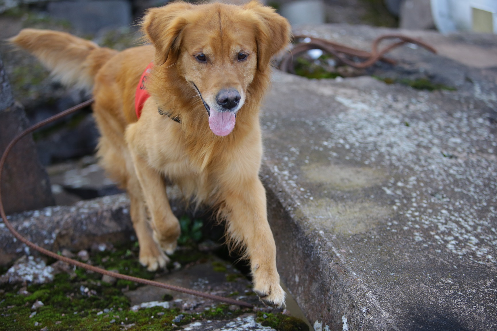 Fotograf: Christian Björses