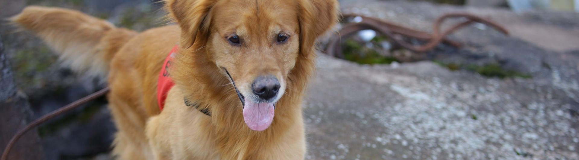 Fotograf: Christian Björses