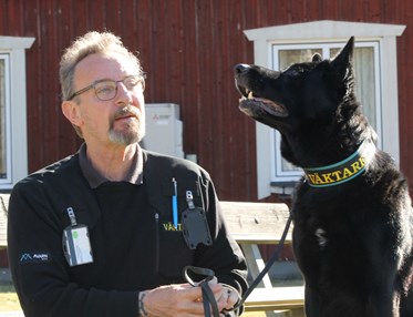 Bild på en schäfer tillsammans med sin husse. Hunden är väktarhund.