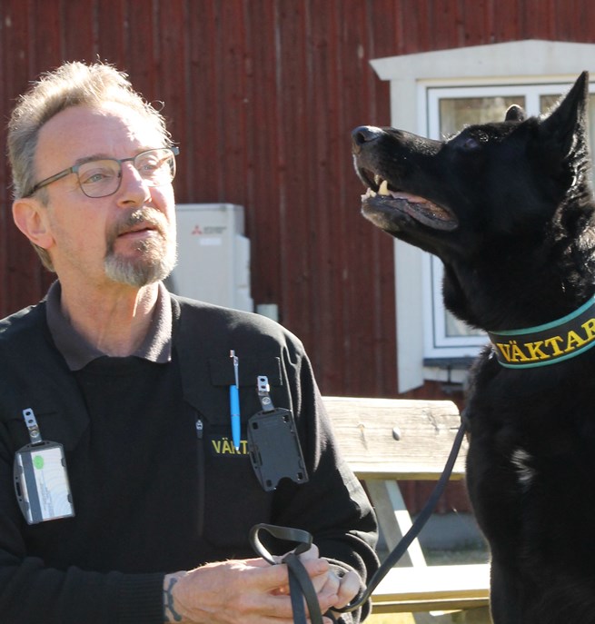 Bild på en schäfer tillsammans med sin husse. Hunden är väktarhund.