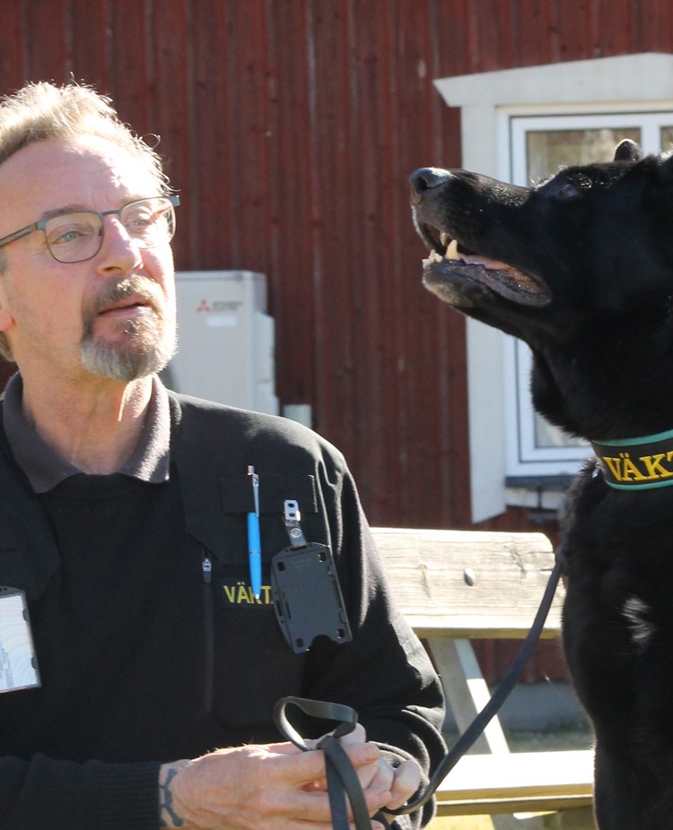Bild på en schäfer tillsammans med sin husse. Hunden är väktarhund.