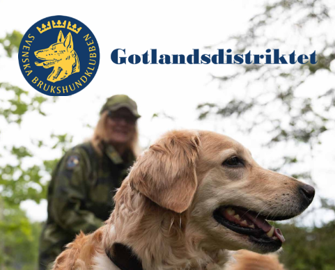 Broschyr SBK Gotland