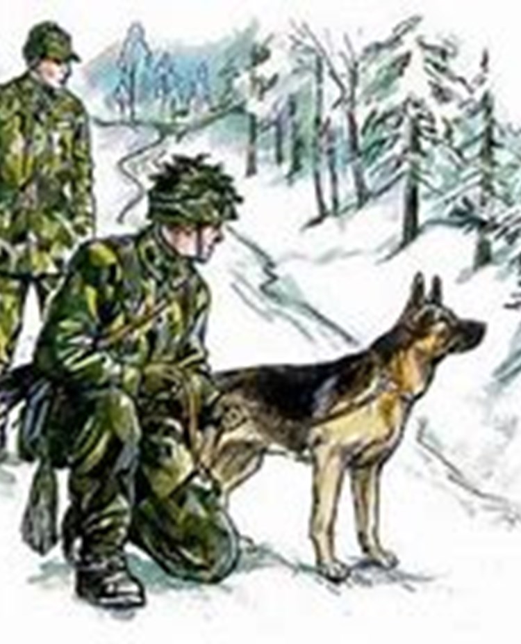 Patrullhund