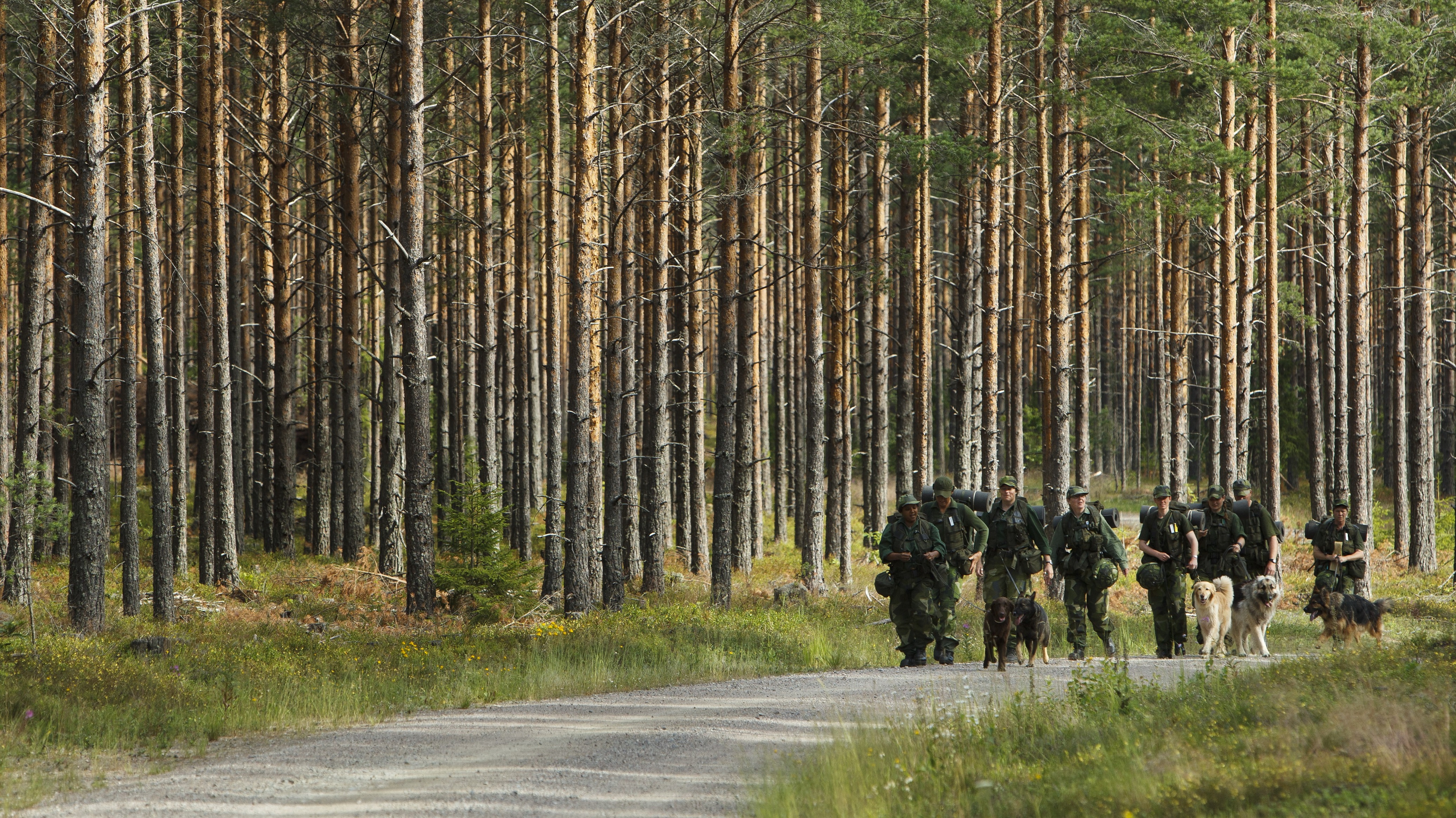 Fotograf: Magnus Fröderberg
