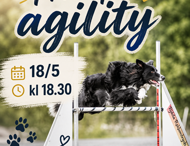 Prova på agility
