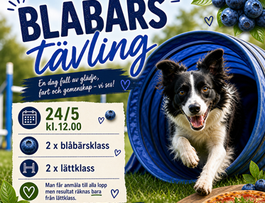 Blåbärstävling