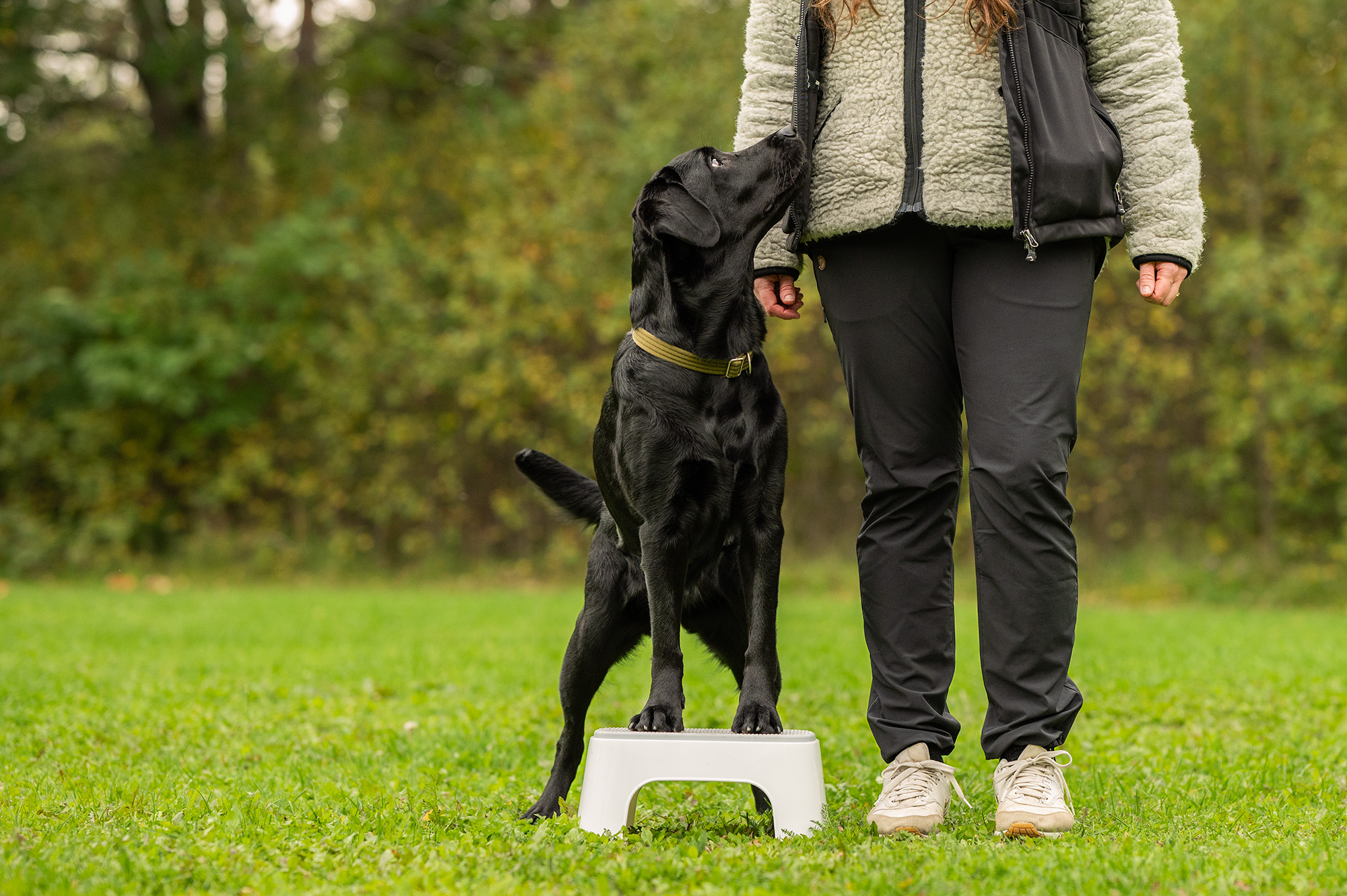 Balansträning på pall