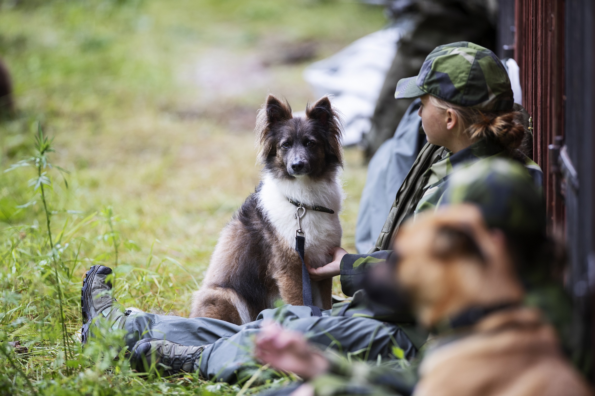 Fotograf: Nils Petter Nilsson
