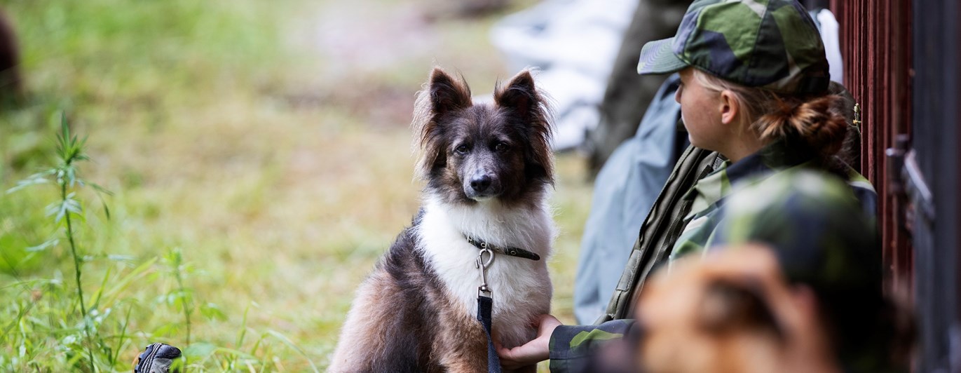 Fotograf: Nils Petter Nilsson