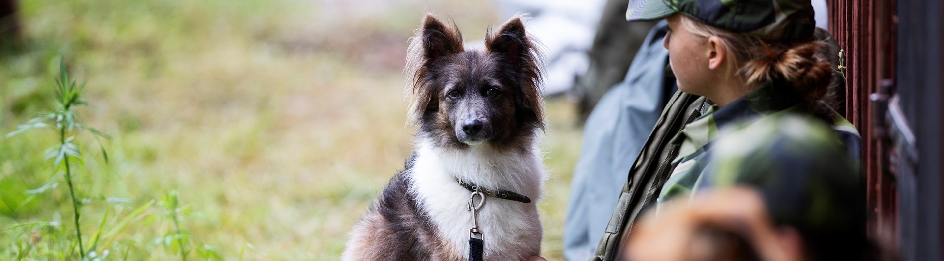 Fotograf: Nils Petter Nilsson