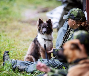 Fotograf: Nils Petter Nilsson