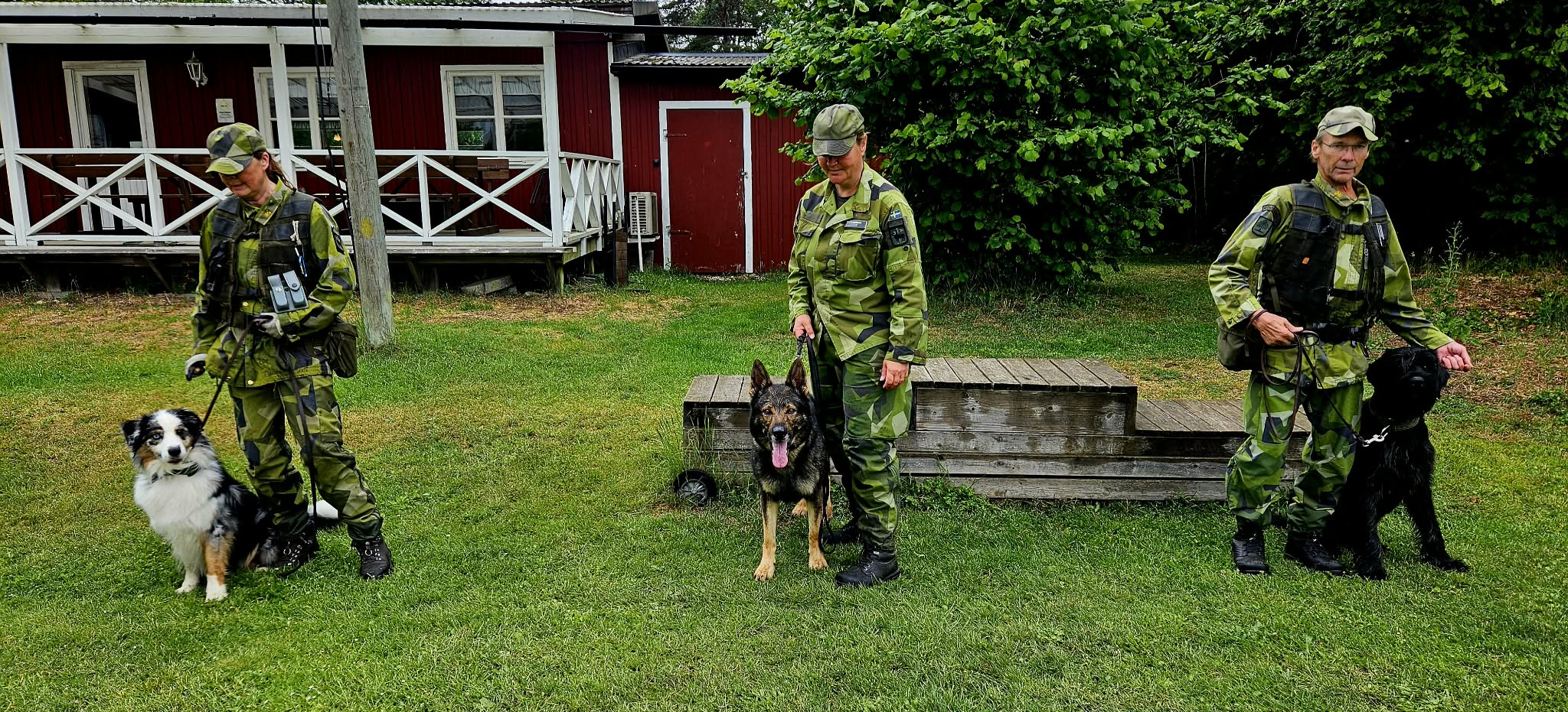 Prispallen på Patrullhunds-DM 2026