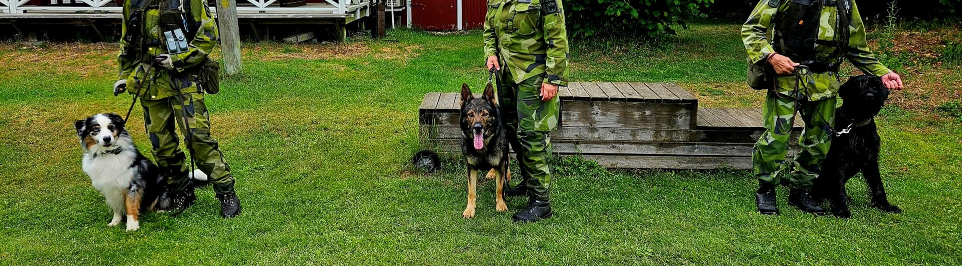 Prispallen på Patrullhunds-DM 2026