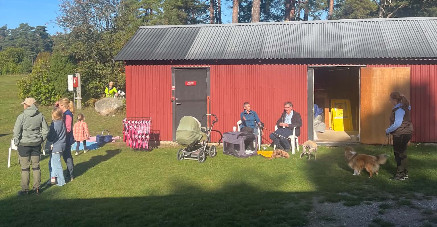 Publik i solen på KM