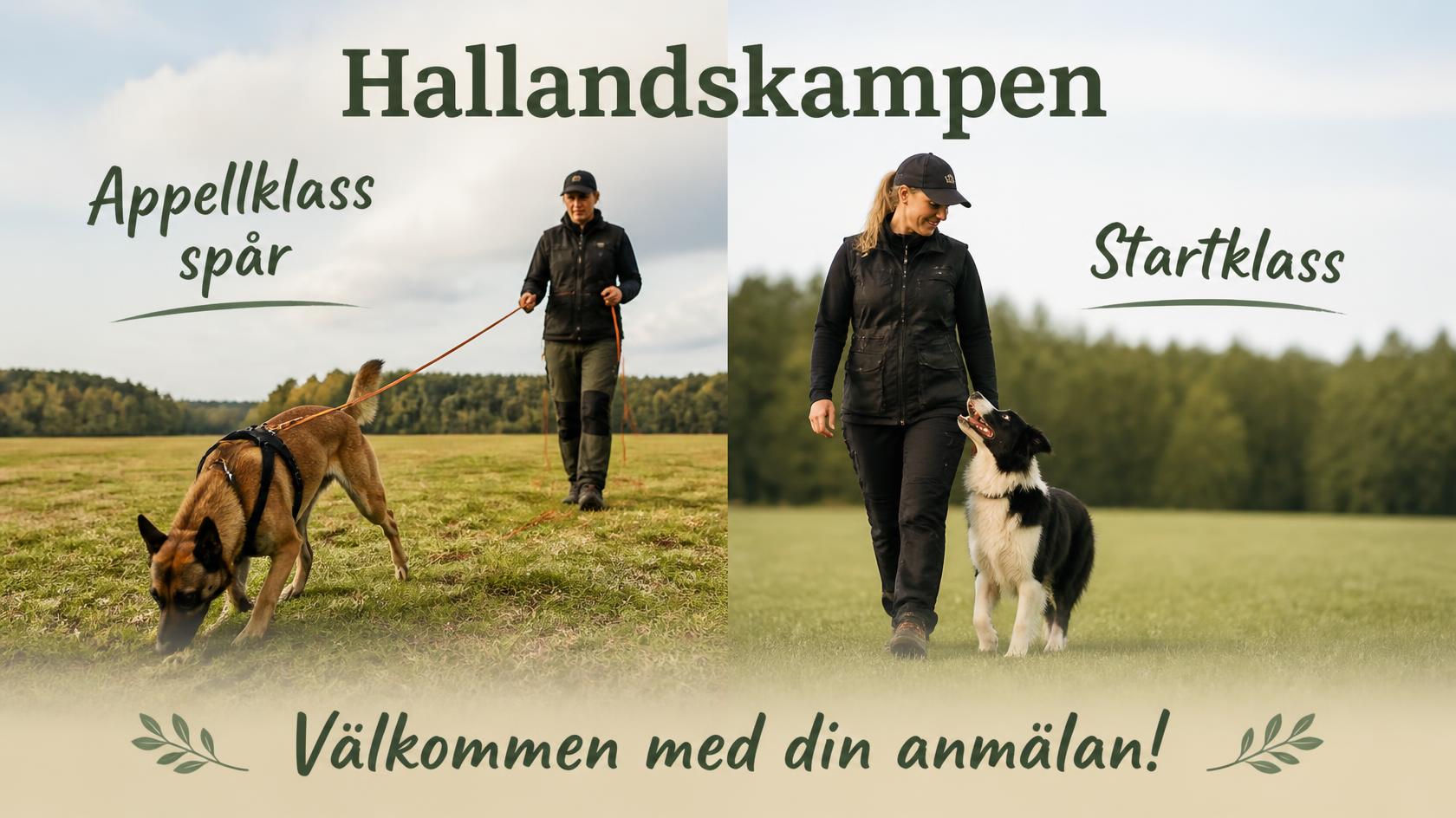 Hund som spårar och hund som går fot