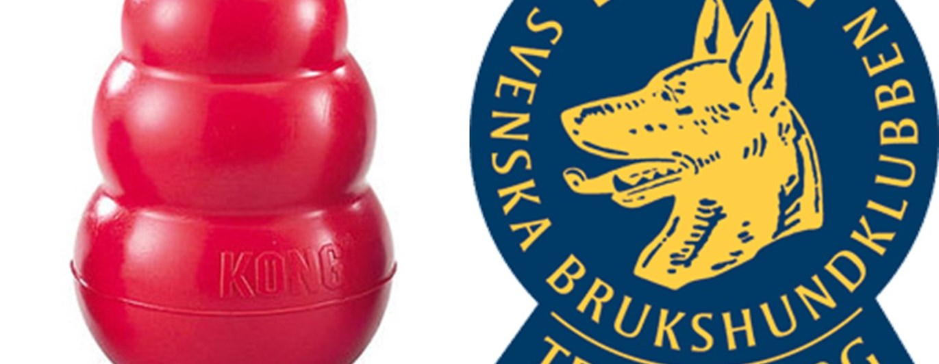 Röd kong hos Trelleborgs Brukshundklubb
