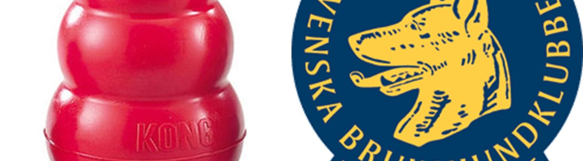 Röd kong hos Trelleborgs Brukshundklubb