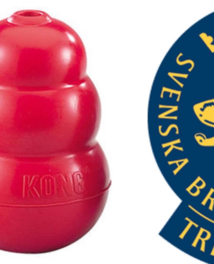 Röd kong hos Trelleborgs Brukshundklubb