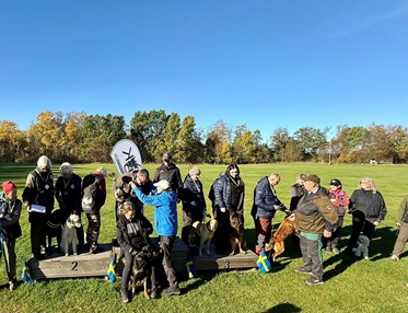 Prispall med lyckliga vinnare med sina hundar