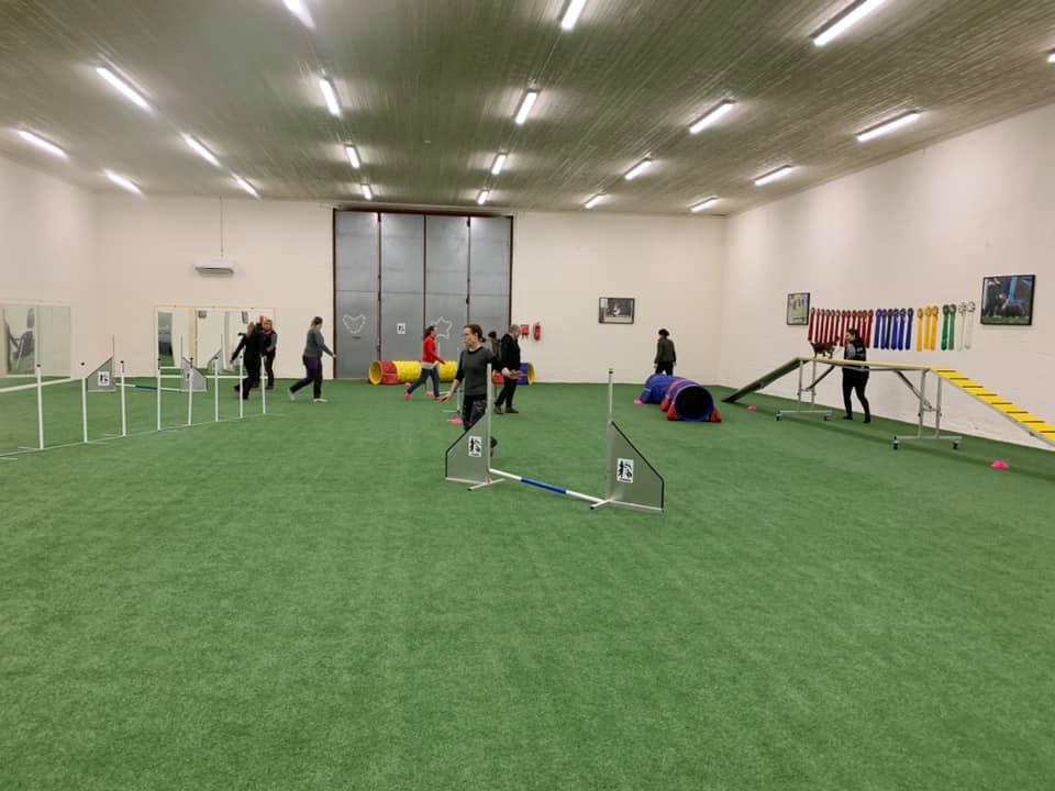 Agility Lindas Hundhall