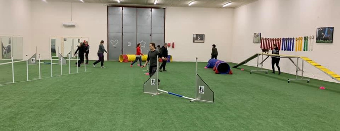 Agility Lindas Hundhall