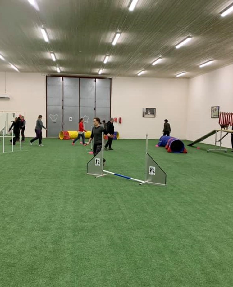 Agility Lindas Hundhall