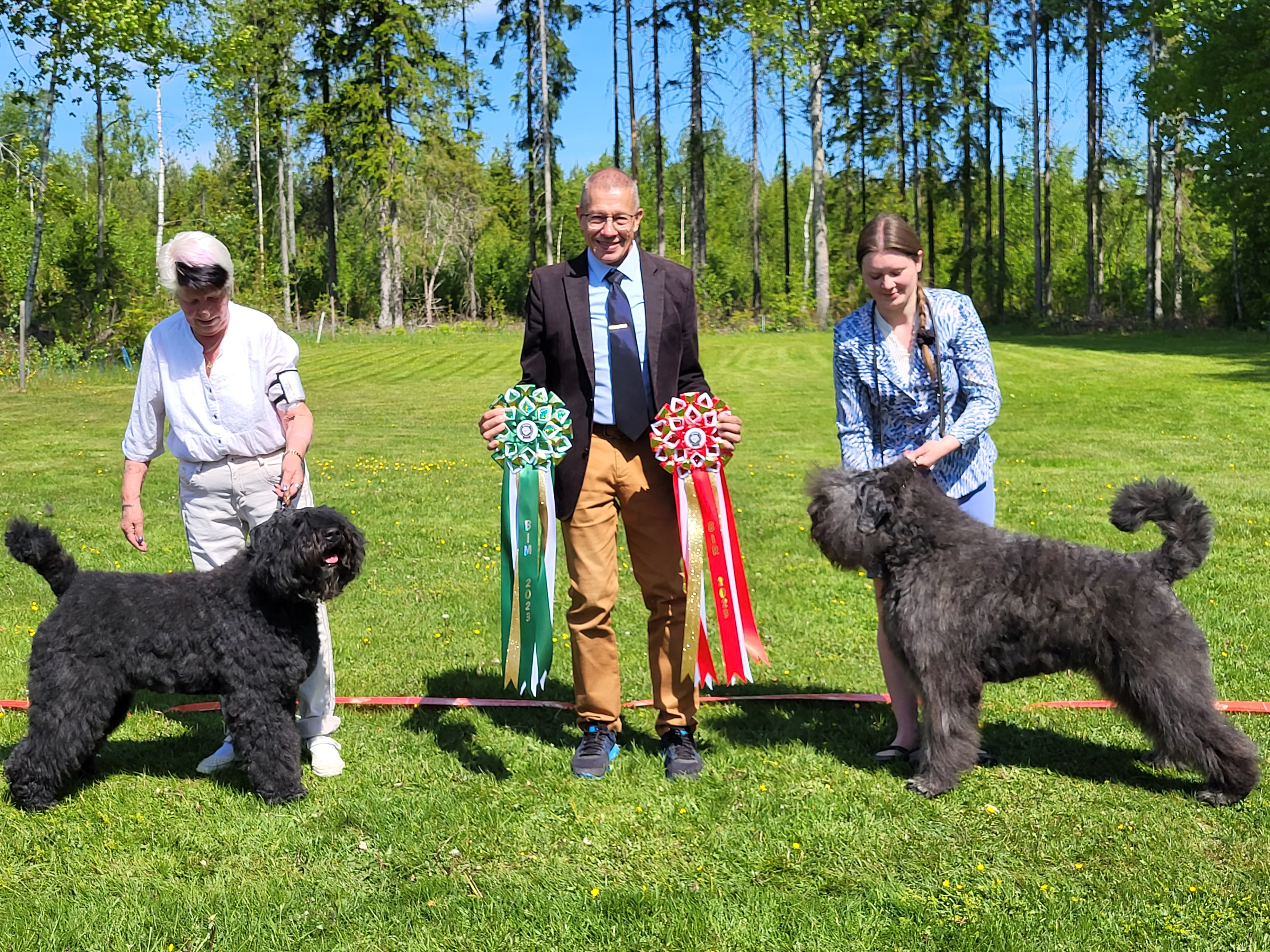 Bild på två bouvier des flandres samt domare som håller i prisrosetter, bouvierspecialen 2023