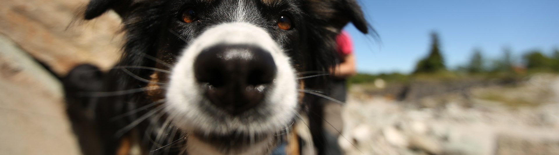 Fotograf: Christian Björses