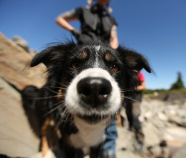 Fotograf: Christian Björses