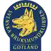 SBK Gotland logotyp