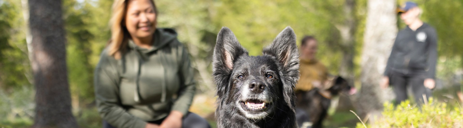 Hund som ligger ner i skogen och tittar in i kameran med sin matte i bakgrunden