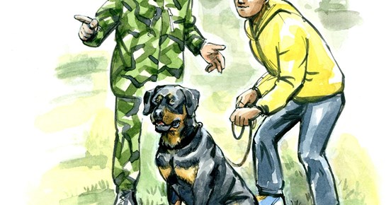 utbildning FM hund
