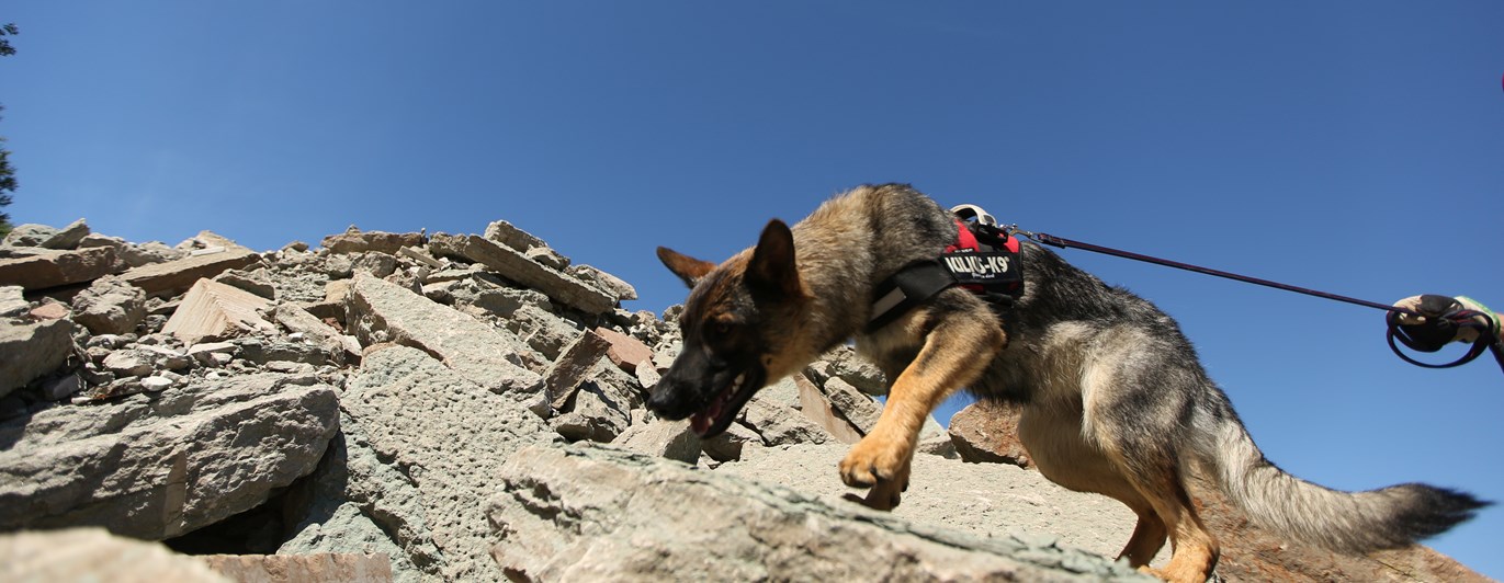 Fotograf: Christian Björses