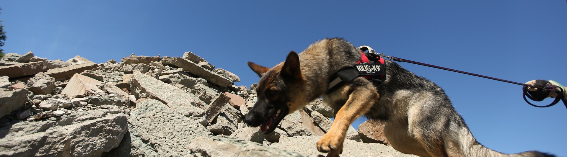 Fotograf: Christian Björses