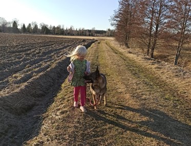 Barn med schäfer