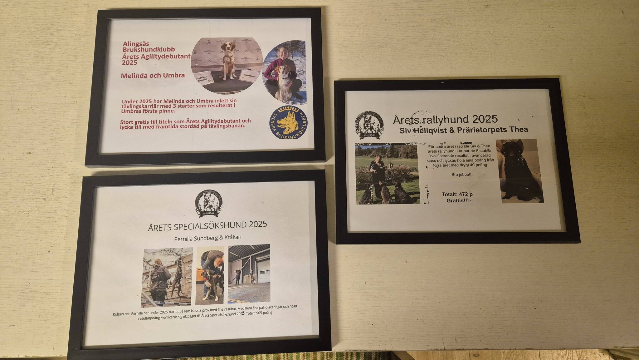 Ekipgare Årets Hundar