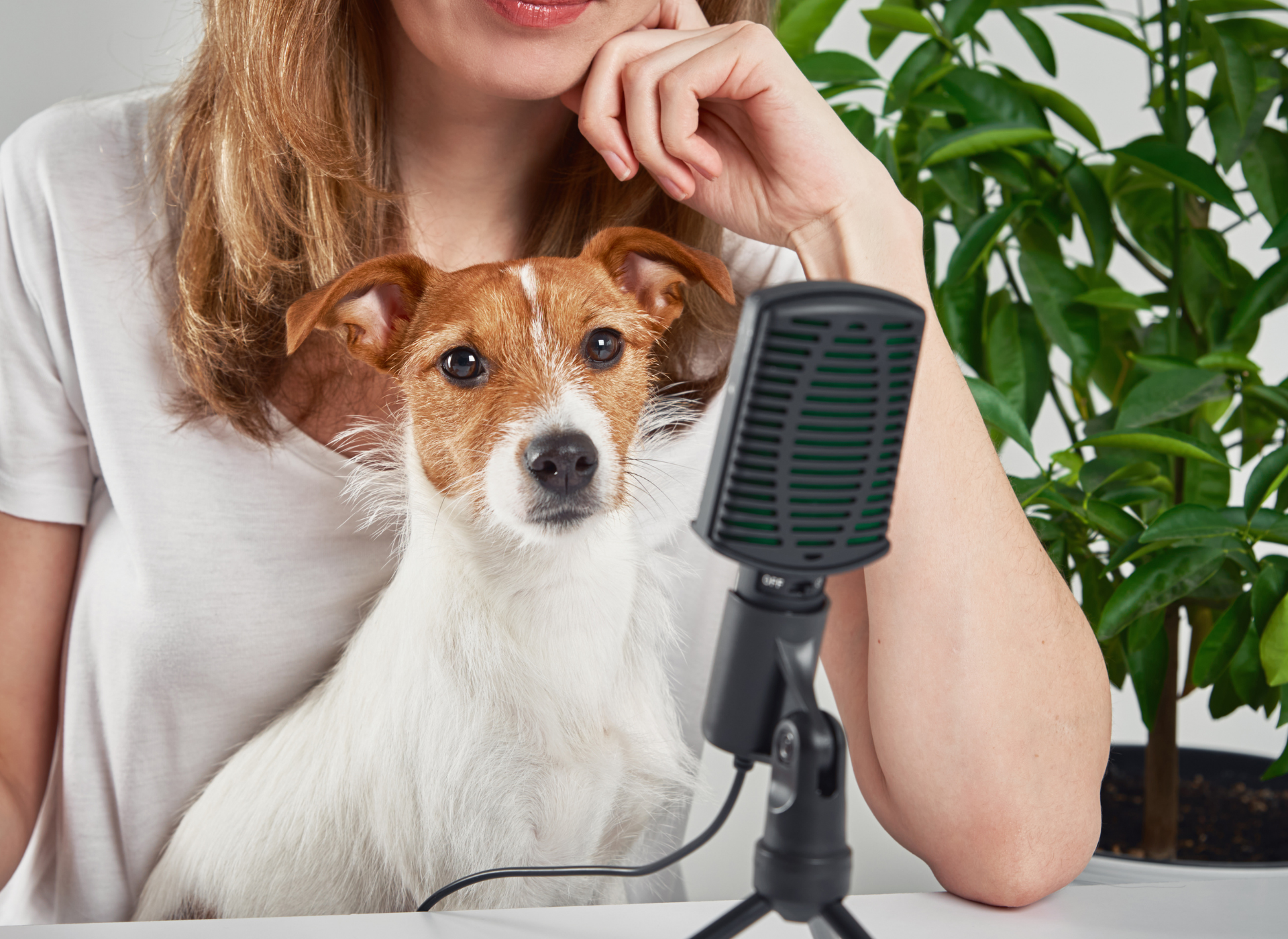 Hundägarpodden