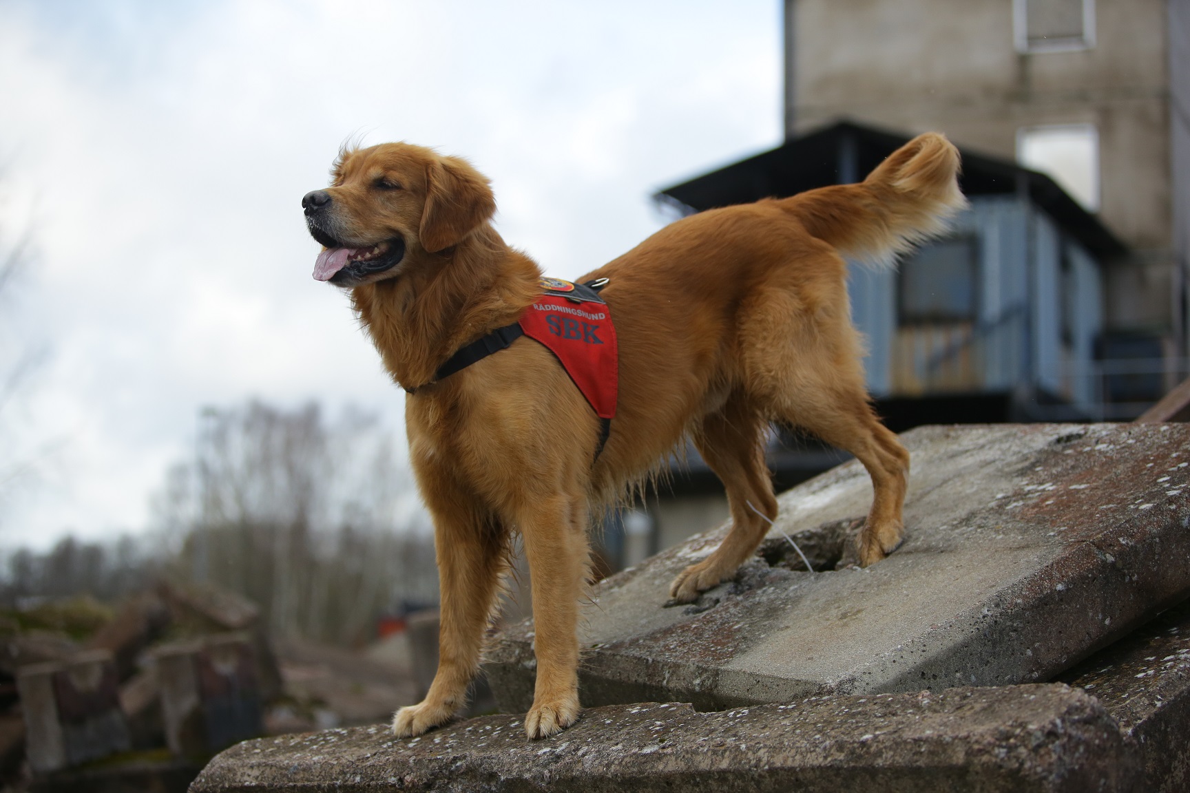 Fotograf: Christian Björses