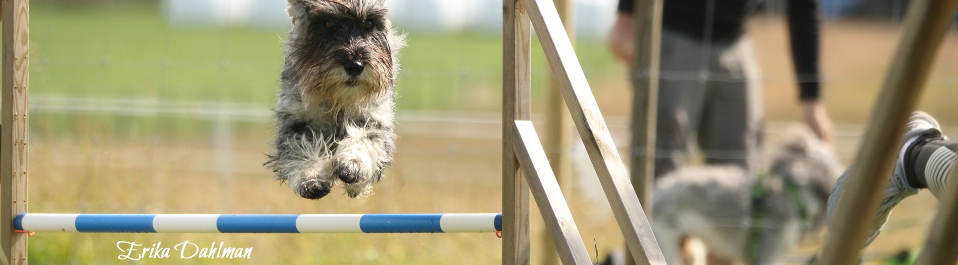 agility
