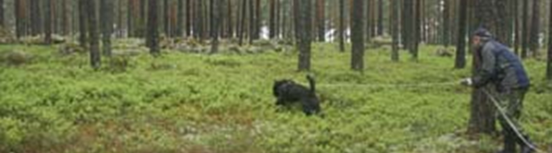 Spårövning