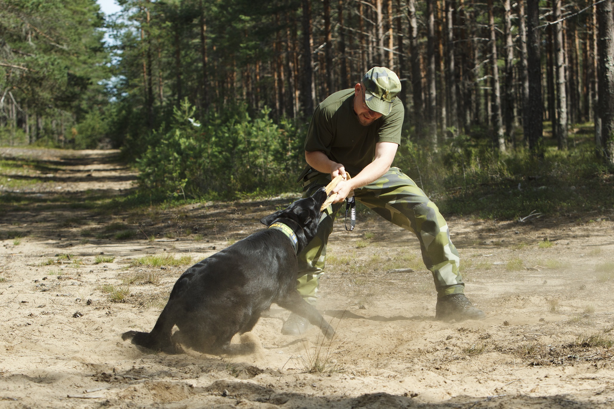 Fotograf: Magnus Fröderberg