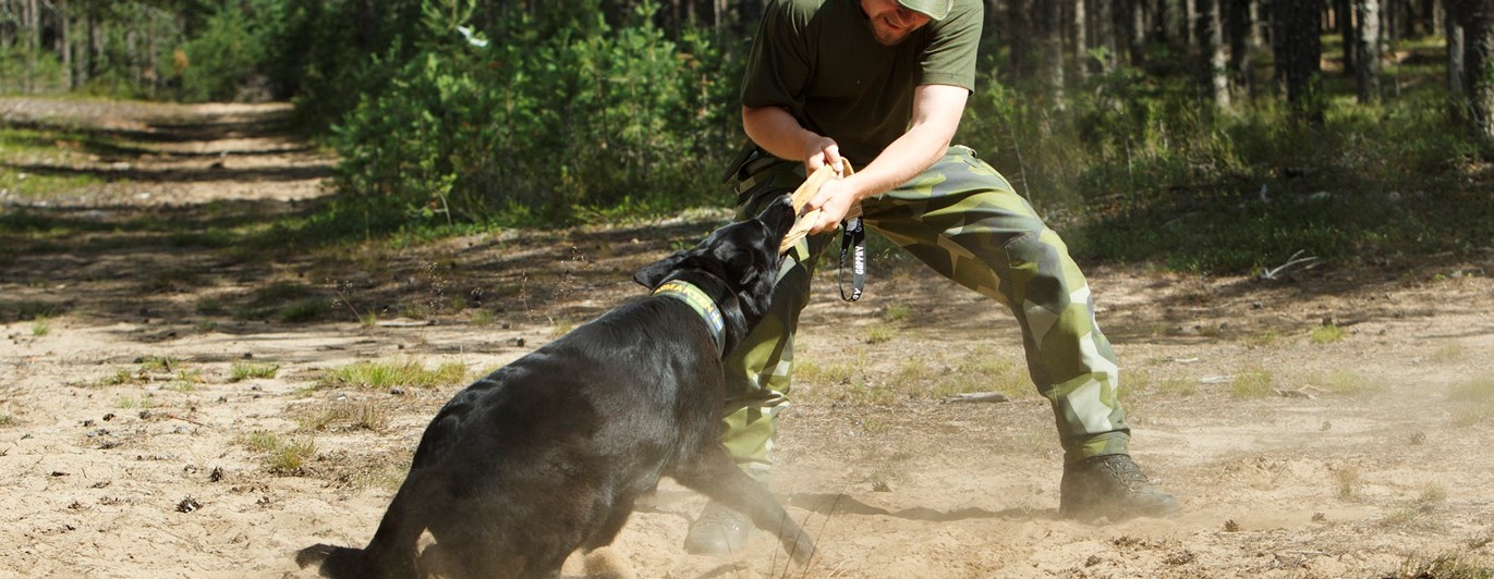 Fotograf: Magnus Fröderberg