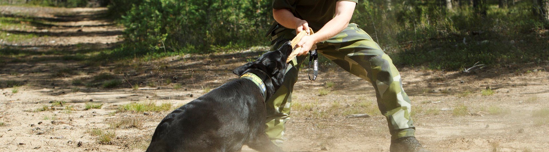 Fotograf: Magnus Fröderberg
